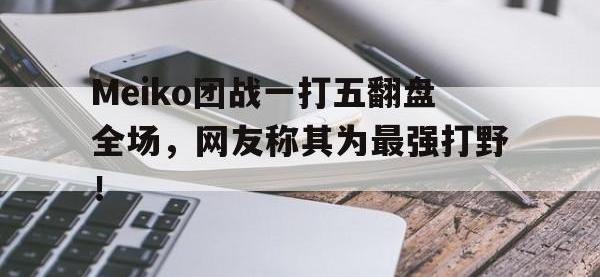 爱游戏平台登录入口-Meiko团战一打五翻盘全场，网友称其为最强打野！