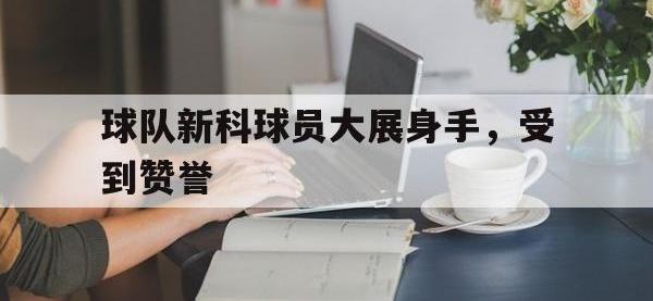 爱游戏登录app-球队新科球员大展身手，受到赞誉
