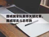 爱游戏登录app-挪威国家队赢得关键比赛，挪威球员斗志昂扬