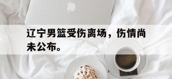 爱游戏平台登录入口-辽宁男篮受伤离场，伤情尚未公布。